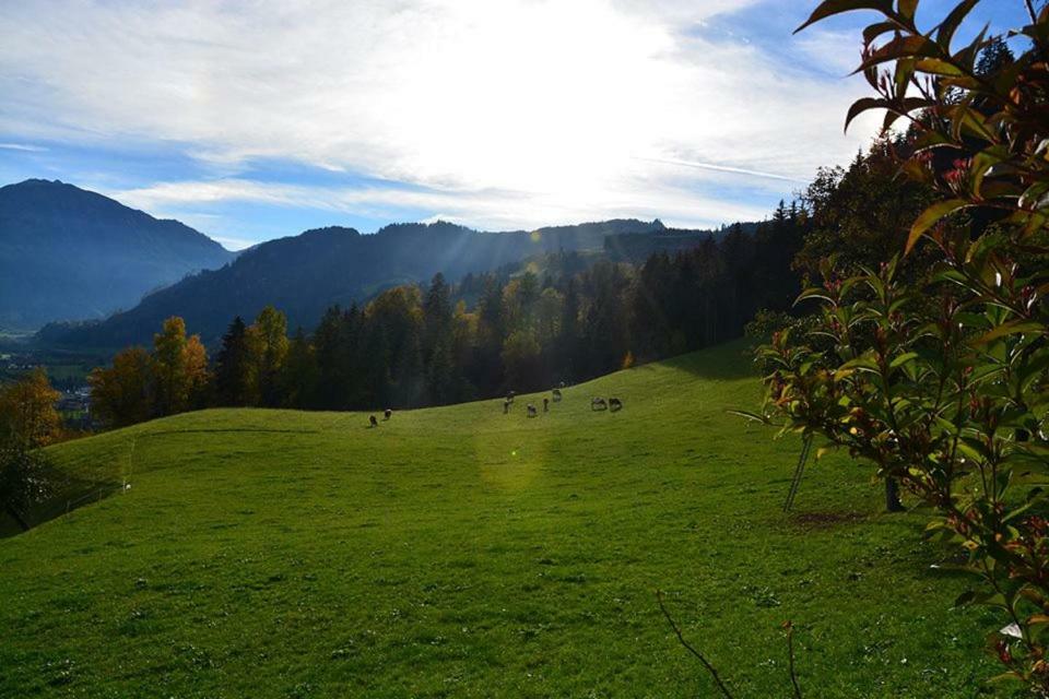 Niederstallnhof Sankt Johann im Pongau Exterior foto